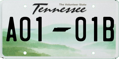TN license plate A0101B