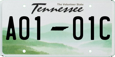 TN license plate A0101C