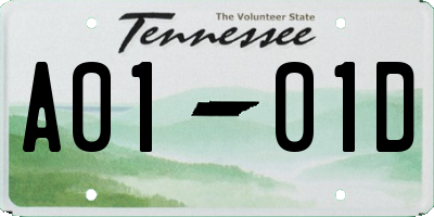 TN license plate A0101D