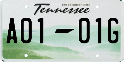 TN license plate A0101G