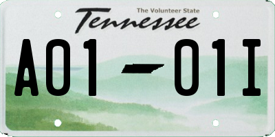 TN license plate A0101I