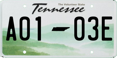TN license plate A0103E