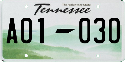 TN license plate A0103O