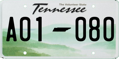 TN license plate A0108O