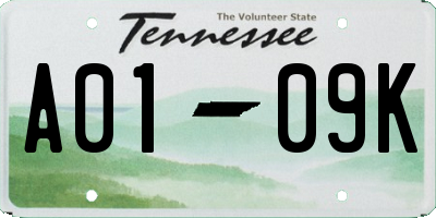 TN license plate A0109K