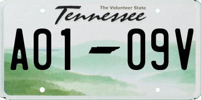 TN license plate A0109V