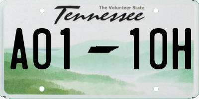 TN license plate A0110H