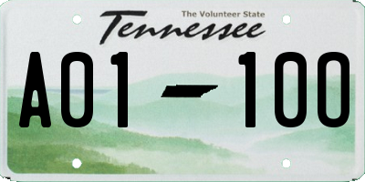 TN license plate A0110O