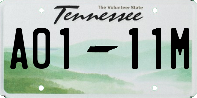 TN license plate A0111M