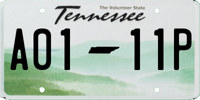 TN license plate A0111P