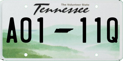 TN license plate A0111Q