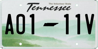 TN license plate A0111V
