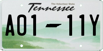 TN license plate A0111Y