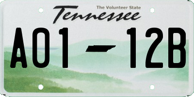 TN license plate A0112B