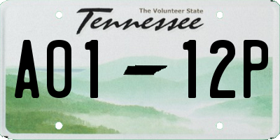 TN license plate A0112P