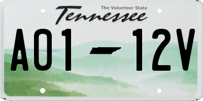 TN license plate A0112V