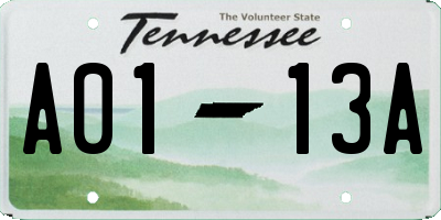 TN license plate A0113A