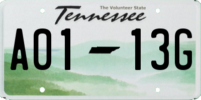 TN license plate A0113G