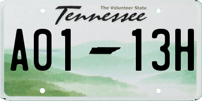 TN license plate A0113H