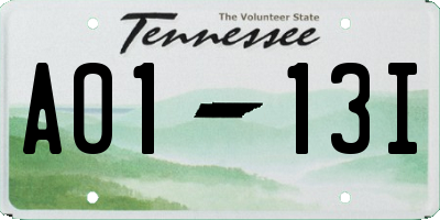 TN license plate A0113I
