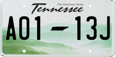 TN license plate A0113J