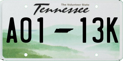 TN license plate A0113K