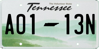 TN license plate A0113N
