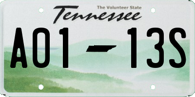 TN license plate A0113S