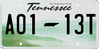 TN license plate A0113T