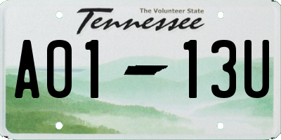 TN license plate A0113U