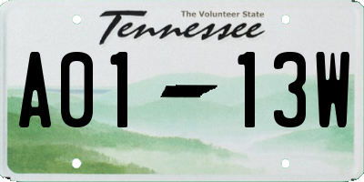 TN license plate A0113W