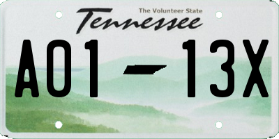 TN license plate A0113X