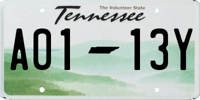 TN license plate A0113Y