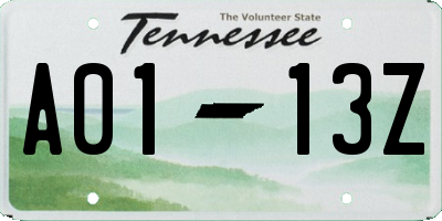 TN license plate A0113Z