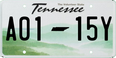 TN license plate A0115Y
