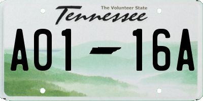 TN license plate A0116A