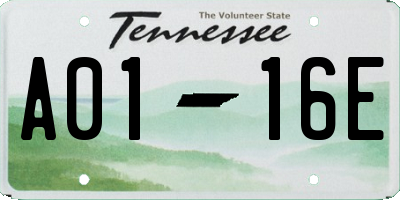 TN license plate A0116E