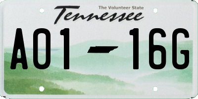 TN license plate A0116G