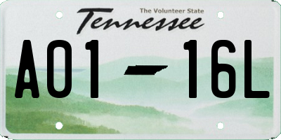 TN license plate A0116L