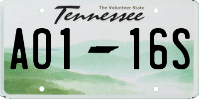 TN license plate A0116S