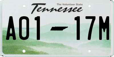 TN license plate A0117M