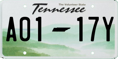TN license plate A0117Y