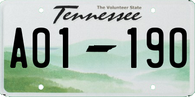 TN license plate A0119O