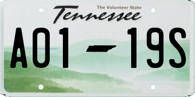 TN license plate A0119S