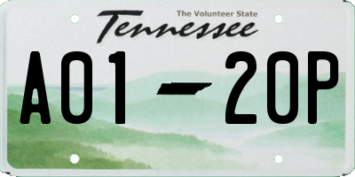 TN license plate A0120P