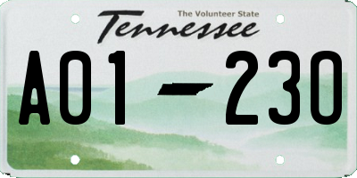 TN license plate A0123O