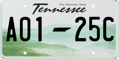 TN license plate A0125C