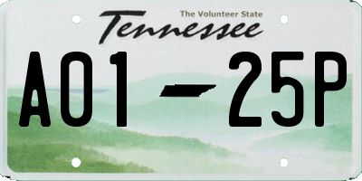 TN license plate A0125P