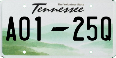 TN license plate A0125Q