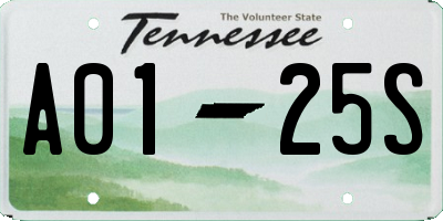 TN license plate A0125S